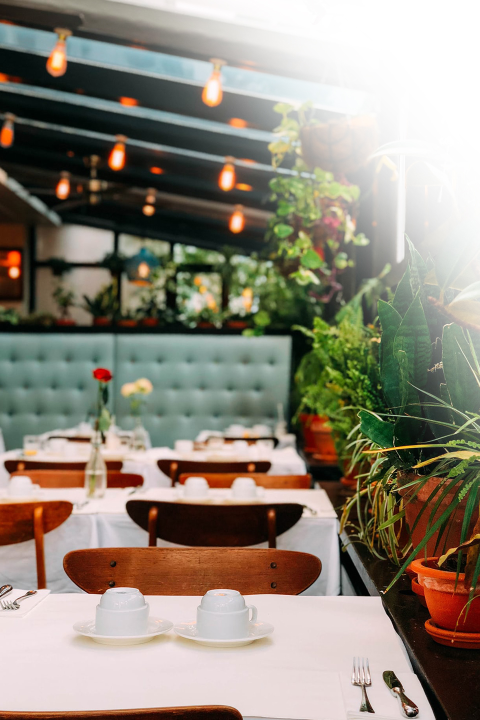 Restaurant Professional Services, LLC, Health Department Inspection Violation Removal, Mock Inspections, Health Department Court Representation, Restaurant Profit Programs, Staff Training, & Food Cost Programs in the Manhattan (NYC), Queens, Brooklyn, Staten Island, Bronx, Long Island, Westchester, Connecticut, & New Jersey Area | PHONE: Mark Manganiello 516-557-5447, PHONE: Patrick Shoureas 516-946-6747 or email RestaurantProfessionalServices@gmail.com - Image