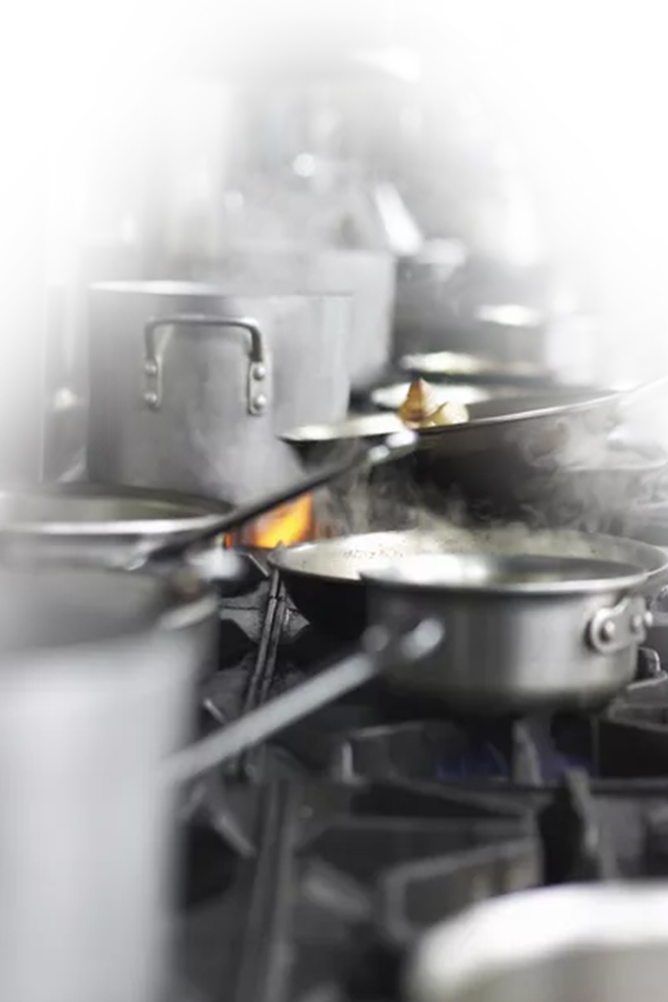 Restaurant Professional Services, LLC, Health Department Inspection Violation Removal, Mock Inspections, Health Department Court Representation, Restaurant Profit Programs, Staff Training, & Food Cost Programs in the Manhattan (NYC), Queens, Brooklyn, Staten Island, Bronx, Long Island, Westchester, Connecticut, & New Jersey Area | PHONE: Mark Manganiello 516-557-5447, PHONE: Patrick Shoureas 516-946-6747 or email RestaurantProfessionalServices@gmail.com - Image